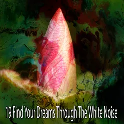 !!!!19 Find Your Dreams Through The White Noise!!!!
