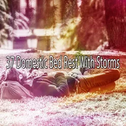 !!!!37 Domestic Bed Rest With Storms!!!!