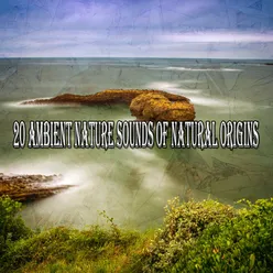 !!!!20 Ambient Nature Sounds Of Natural Origins!!!!