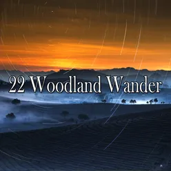 !!!!22 Woodland Wander!!!!