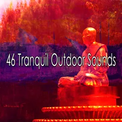 !!!!46 Tranquil Outdoor Sounds!!!!