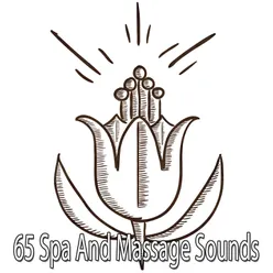 !!!!65 Spa And Massage Sounds!!!!