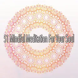 !!!!51 Mindful Meditation For Your Soul!!!!