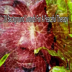 !!!!79 Background Sounds For A Peaceful Therapy!!!!