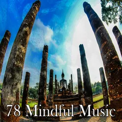 !!!!78 Mindful Music!!!!