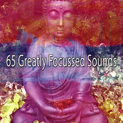 !!!!65 Greatly Focussed Sounds!!!!