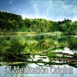 !!!!67 Meditation Origins!!!!