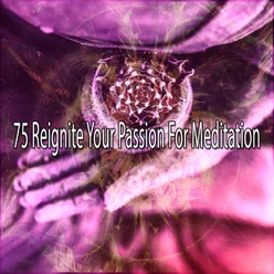 !!!!75 Reignite Your Passion For Meditation!!!!