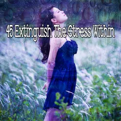 !!!!45 Extinguish The Stress Within!!!!