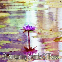 !!!!79 Streaming Sounds Of Peace!!!!