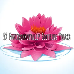 !!!!52 Envinronmentally Soothing Tracks!!!!