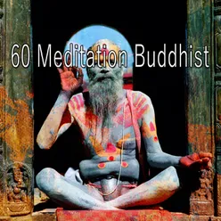 !!!!60 Meditation Buddhist!!!!