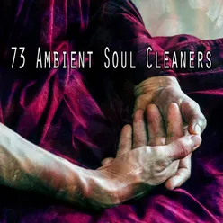 !!!!73 Ambient Soul Cleaners!!!!