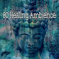 !!!!80 Healing Ambience!!!!