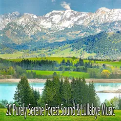 !!!!20 Purely Serene Forest Sound & Lullabye Music!!!!