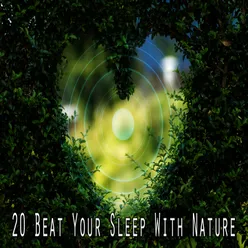 !!!!20 Beat Your Sleep With Nature!!!!