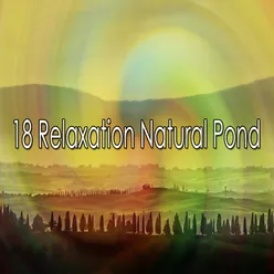 !!!!18 Relaxation Natural Pond!!!!