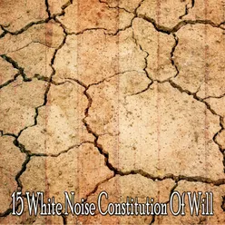 !!!!15 White Noise Constitution Of Will!!!!