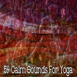 59 Calm Sounds For Yoga