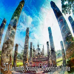 57 Calming Sounds Of Soothing Aura