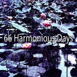 66 Harmonious Days