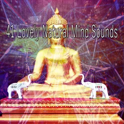 41 Lovely Natural Mind Sounds