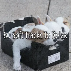 80 Soft Tracks To Relax
