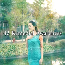 42 Remedial Awareness