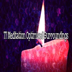 77 Meditation Optimised Surroundings