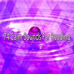 74 Calm Sounds For Reading