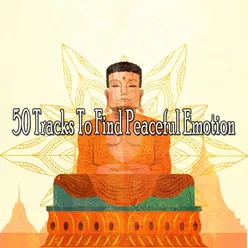 50 Tracks To Find Peaceful Emotion