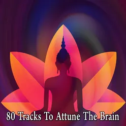 80 Tracks To Attune The Brain