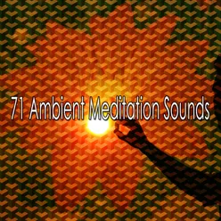 71 Ambient Meditation Sounds