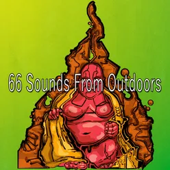 66 Sounds From Outdoors