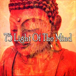 75 Light Of The Mind