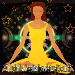 40 Buddhist Meditation Natural Sounds