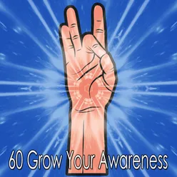 60 Grow Your Awareness