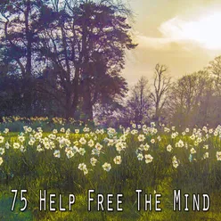 75 Help Free The Mind