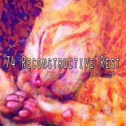 74 Reconstructive Rest
