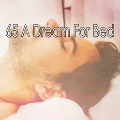 65 A Dream For Bed