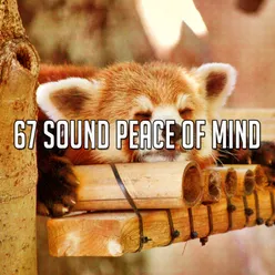 67 Sound Peace Of Mind