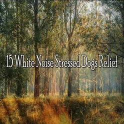 15 White Noise Stressed Dogs Relief