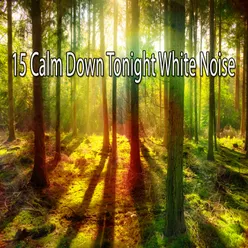 15 Calm Down Tonight White Noise