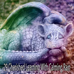 29 Cherished Learning With Calming Rain