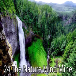 24 The Nature Mind Mine