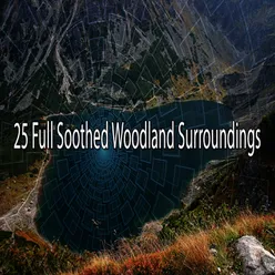 25 Full Soothed Woodland Surroundings