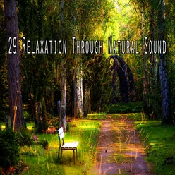 29 Relaxation Through Natural Sound