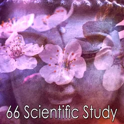 66 Scientific Study