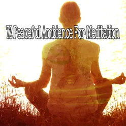 72 Peaceful Ambience For Meditation