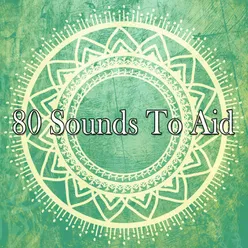 80 Sounds To Aid